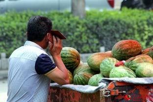 路边摊免费吃瓜,街头美食盛宴等你来尝 第3张 路边摊免费吃瓜,街头美食盛宴等你来尝 第3张